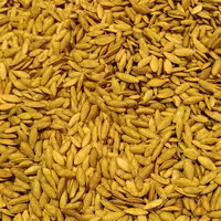 تخمه کدو مشهدی ( ریز ) زبان ماری دوآتیشه بار  دویست گرمی آجیل و خشکبار مهران 