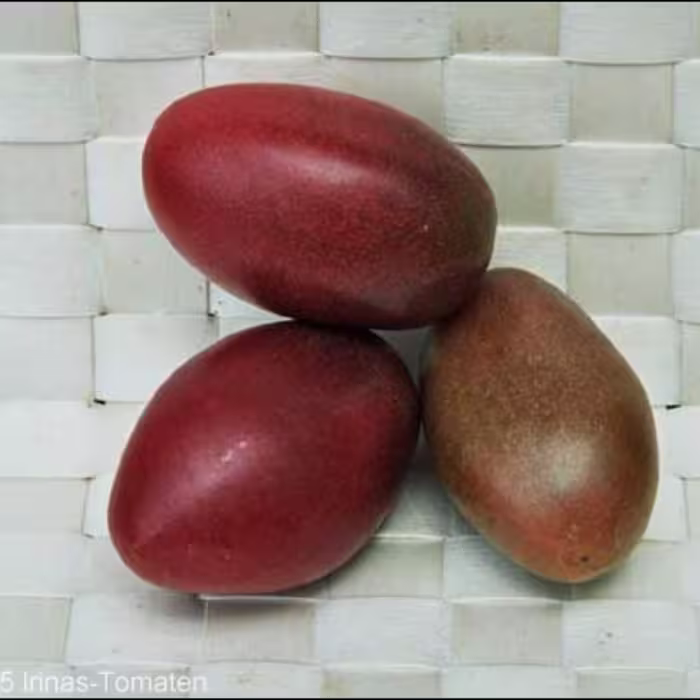 بذر گوجه فرنگی بنفش روسی 10 عددی