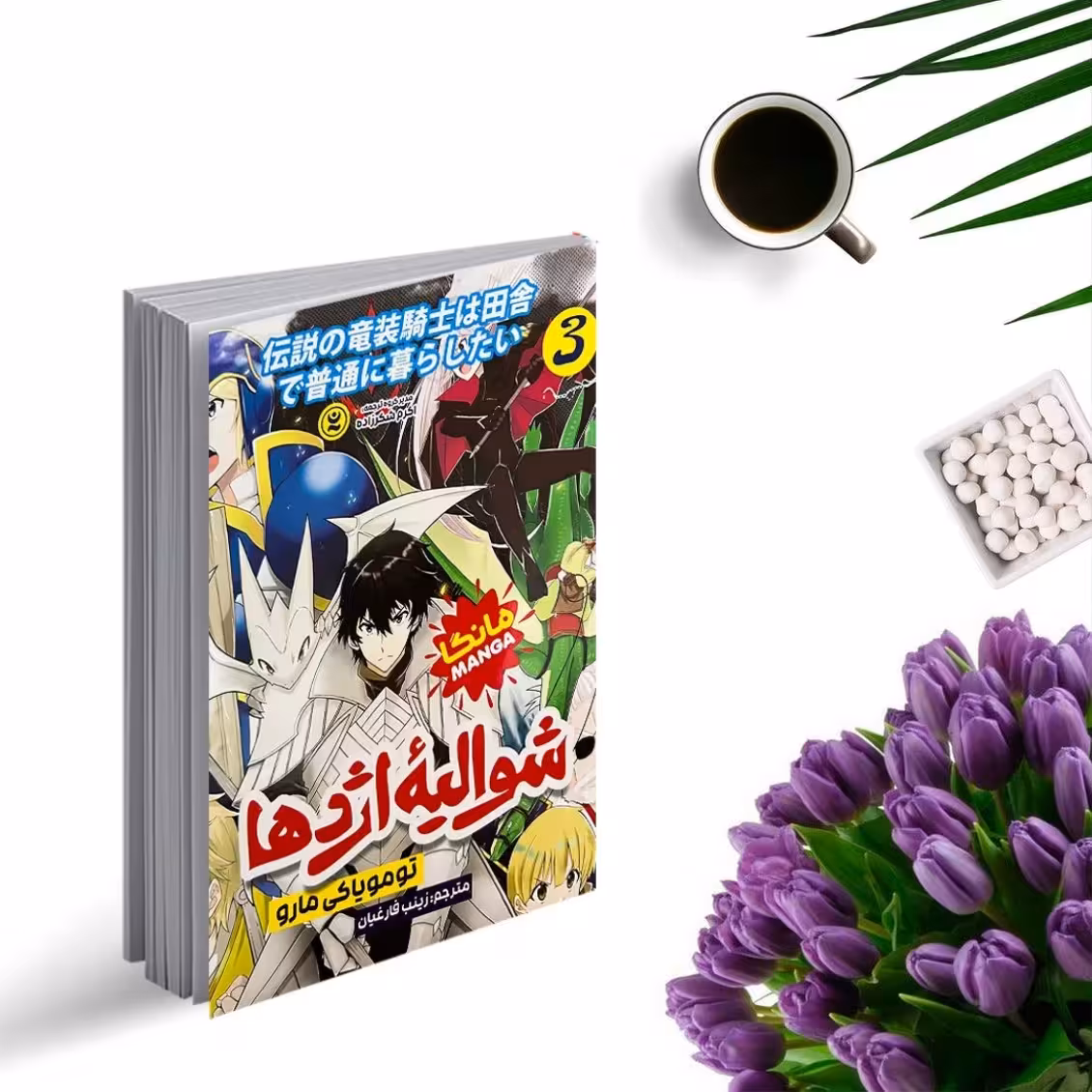 کتاب شوالیه اژدها 3 (مانگا) اثر تومویاکی مارو انتشارات نگاه آشنا