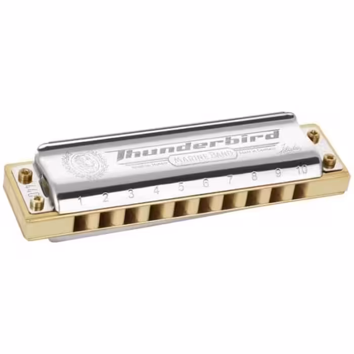 سازدهنی دیاتونیک هوهنر مدل Thunderbird کلید LCHohner 10 hole Thunderbird diatonic harmonica LC