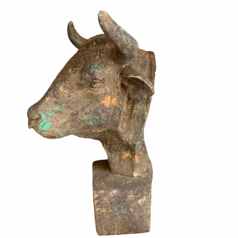 مجسمه مدل کله گاو