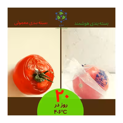 نایلون بسته بندی اکتیویت مدل هوشمند بسته 21 عددی