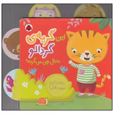 کتاب این گربه‌ی گردالو دنبال چی می‌گرده اثر جنی هو انتشارات شهر قلم