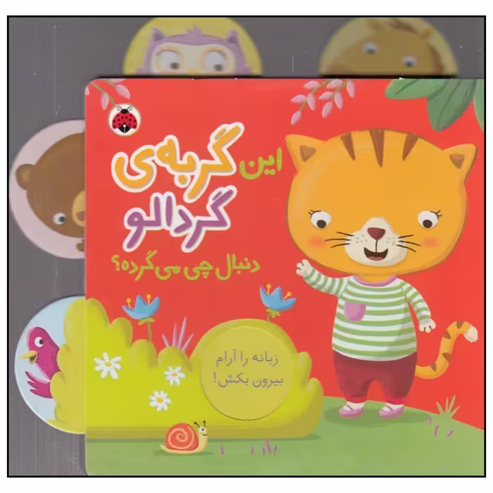 کتاب این گربه‌ی گردالو دنبال چی می‌گرده اثر جنی هو انتشارات شهر قلم