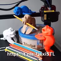 مدل سه بعدی شیر دریایی (slt)