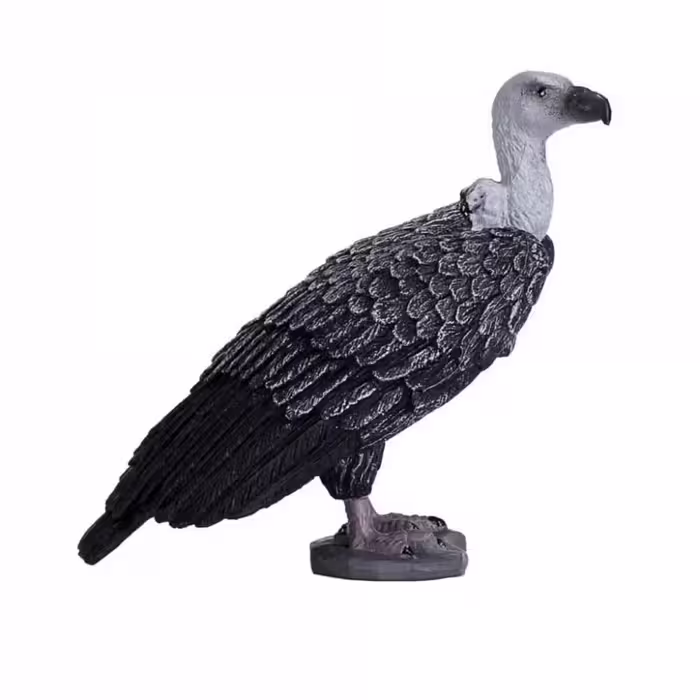 فیگور کرکس گریفون Griffon Vulture Figure MOJO