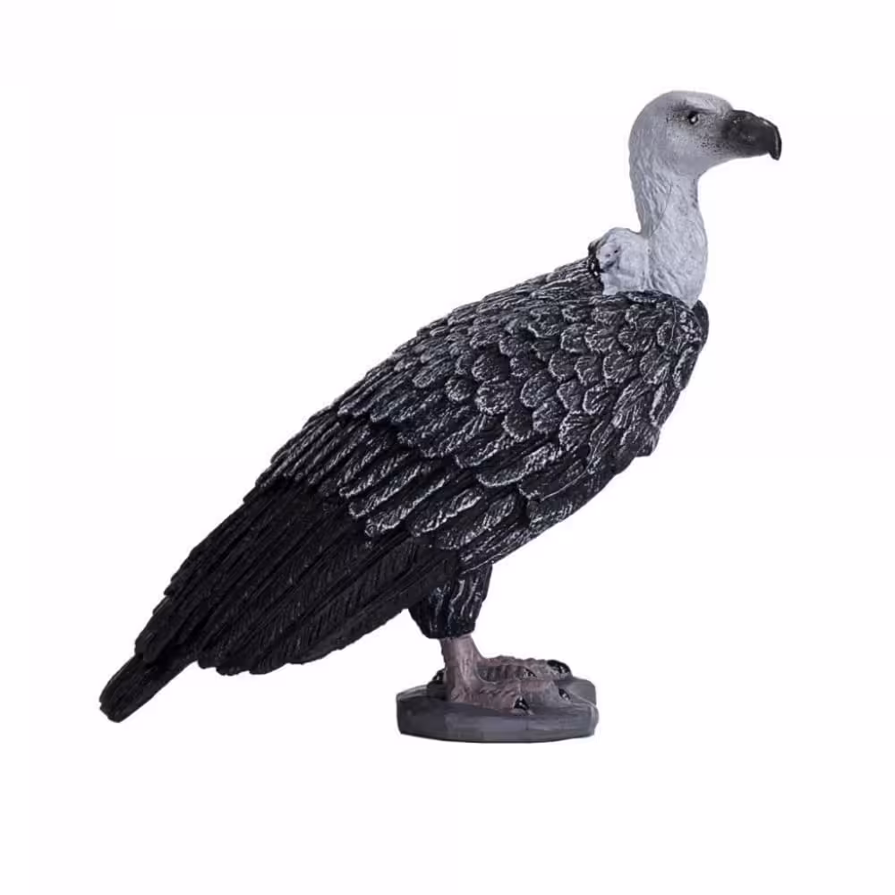فیگور کرکس گریفون Griffon Vulture Figure MOJO
