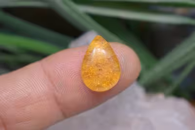 کهربا حشره دار