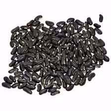 تخم فرنجیمشک(100گرمی )