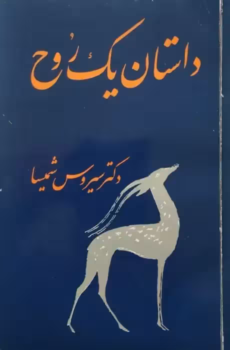 داستان یک روح | سیروس شمیسا