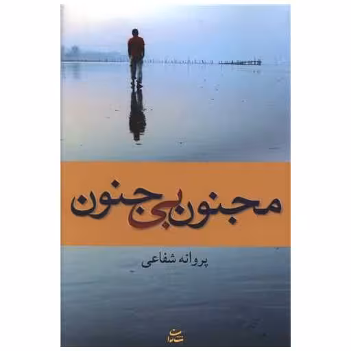 کتاب مجنون بی جنون اثر پروانه شفاعی