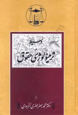 وسیط در ترمینولوژی حقوق