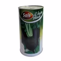 بذر ترب سیاه سایس