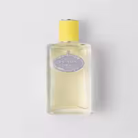 قیمت و خرید عطر زنانه پرادا مدل Prada Infusion d'Ylang EDP 100ml اورجینال