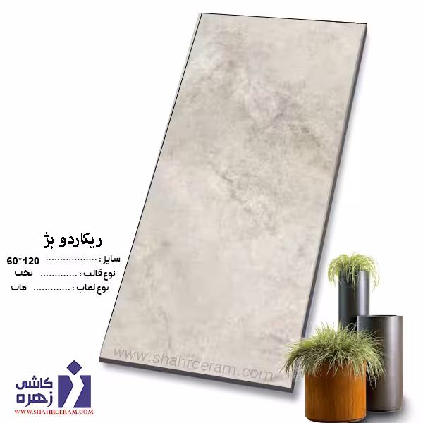 سرامیک ریکاردو بژ 120*60 کاشی زهره