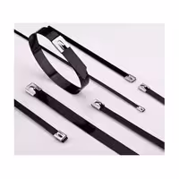 بست کمربندی استیل روکش دار NSS EPOXY 150×4.6