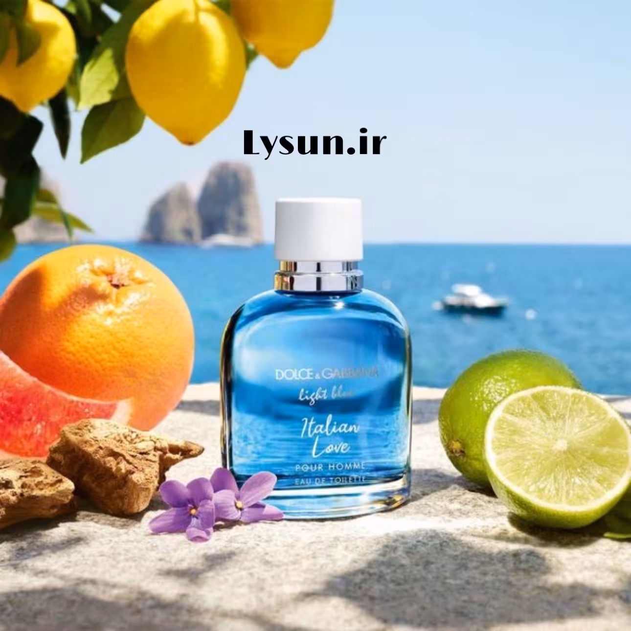 لایت بلو ایتالین پور هوم کد 835