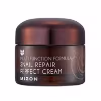 کرم ترمیم کننده حلزون ( MIZON – Snail Repair Perfect Cream )