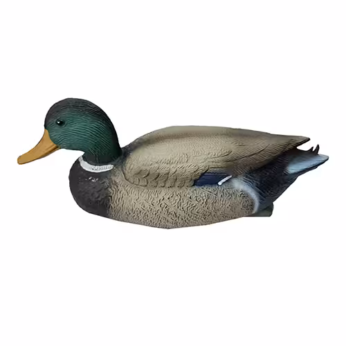 ماکت مرغابی کله سبز مدل C28