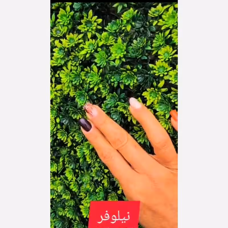 گرین وال نیلوفر ابعاد 50در50 cm (دیوار سبز/گرینوال)(پس کرایه)