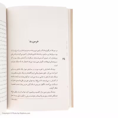 کتاب ویتک خرس قهرمان اثر ویسلاو لاستسکی نشر مرکز