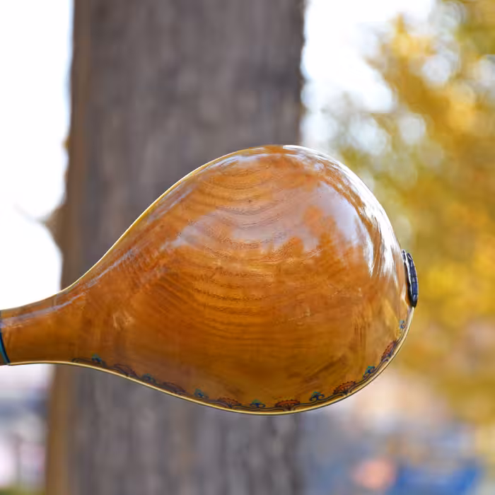 سه تار ایران ساز مدل رها