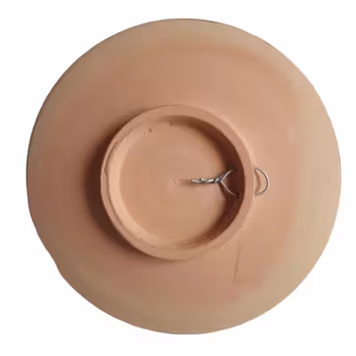 بشقاب دیوارکوب سفالی مدل و ان یکاد