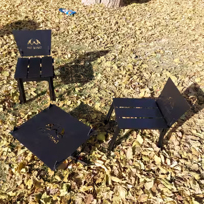 صندلی سفری مدل افرودی