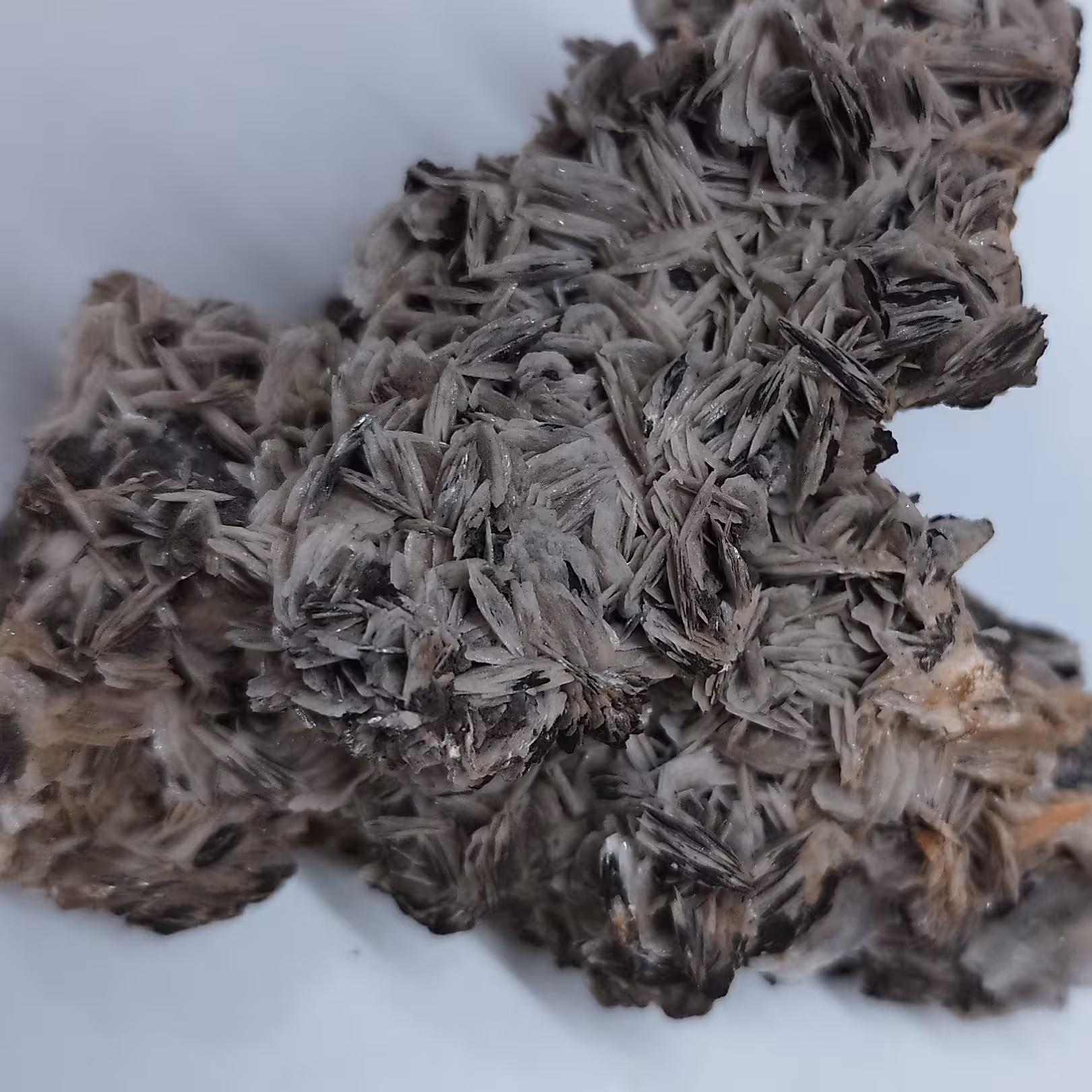 باریت خاص برای کلکسیون نمونه بسیار عالی باکیفیت کاملا طبیعی