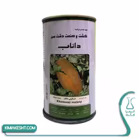 بذر خربزه خاتونی داناب 500 گرمی
