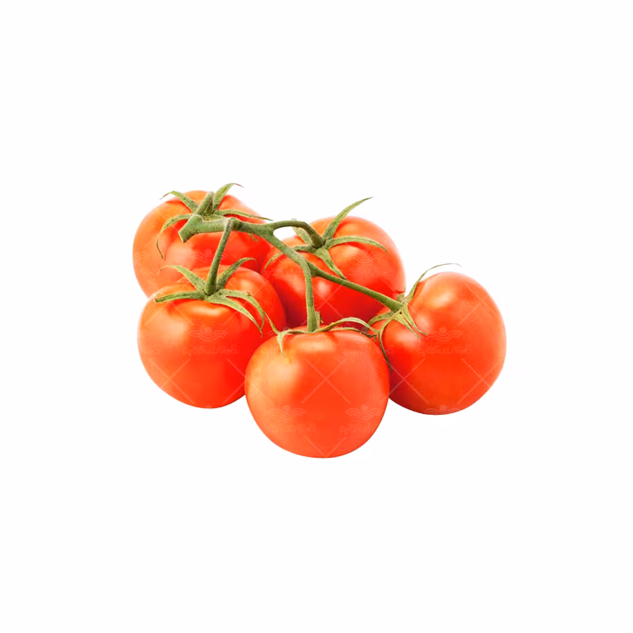 بذر گوجه چری یا گیلاسی خوشه ای گرد