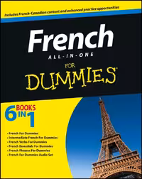 کتاب آموزش فرانسه French All-in-One For Dummies
