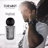 ادکلن مردانه بایراک BayRock مدل استال وارت STALWART حجم 100 میل
