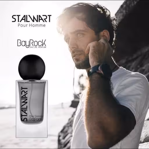 ادکلن مردانه بایراک BayRock مدل استال وارت STALWART حجم 100 میل