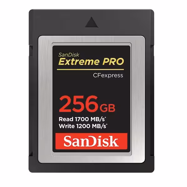 SANDISK CFEXPRESS EX PRO 256GB 1700MB - فروشگاه اینترنتی پروتاچ