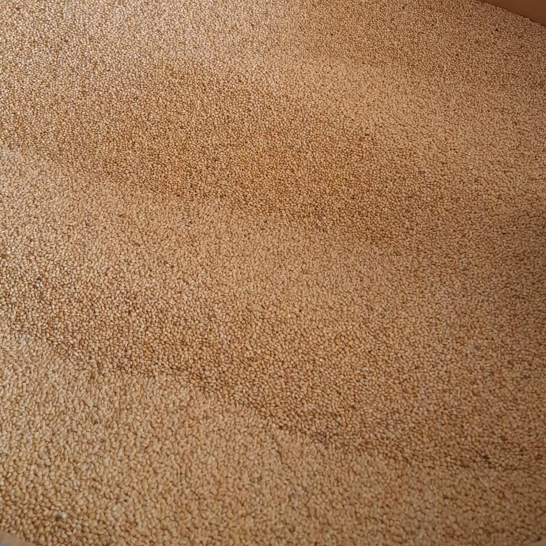 ارزن درشت 10 کیلویی