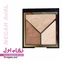هایلایتر و کانتور پودری سه رنگ اویوا پاریس شماره 04