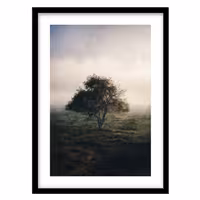 قیمت و خرید