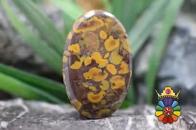 فوروت جاسپر  (جاسپر میوه ای)