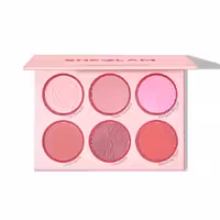 پالت رژ گونه شیگلم مدل Floral Flush654689478974