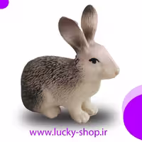فیگور خرگوش (سری دو) rabbit