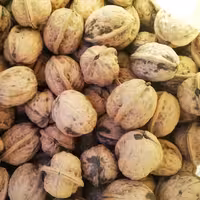 گردو ، سفید و بدون پوکی(1000گرمی)(ارسال رایگان)(سایز متوسط) 