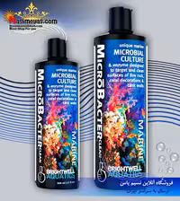 محلول تمیز کننده میکروباکتر کلین برایت ول