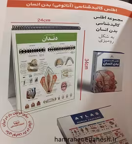 مجموعه اطلس کالبد شناسی بدن انسان | به شکل رومیزی