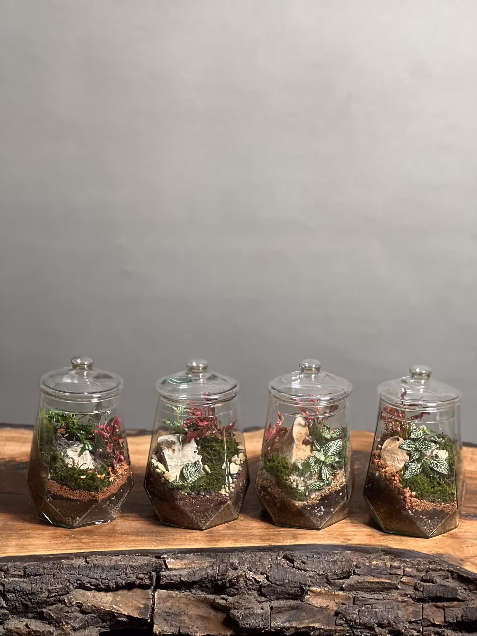 خرید گیفت شرکتی 4 عدد تراریوم طرح الماس ارسال فوری به تهران و سراسر ایران