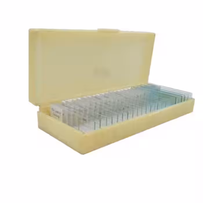 لام آماده میکروسکوپ شیشه ای گیاهی و جانوری (24 عددی)