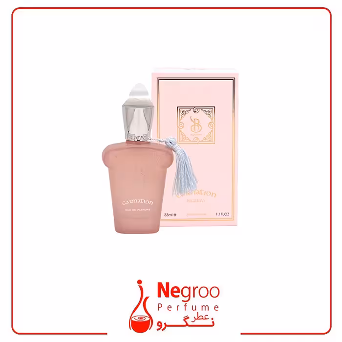 عطر ادکلن کارنشن زنانه و مردانه برندینی 33 میل Carnation