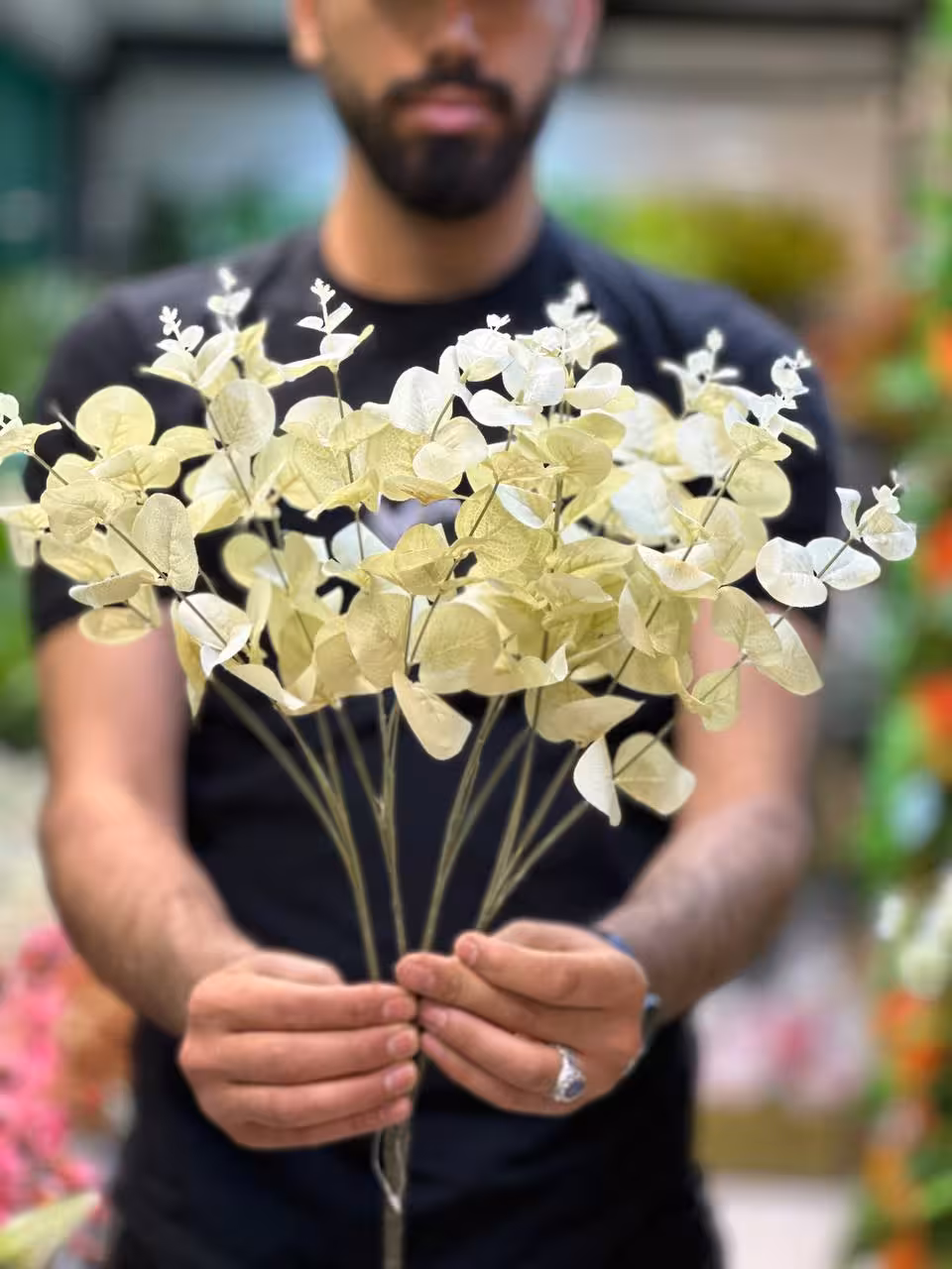 بوته اکالیپتوس رنگ سبز سیر
