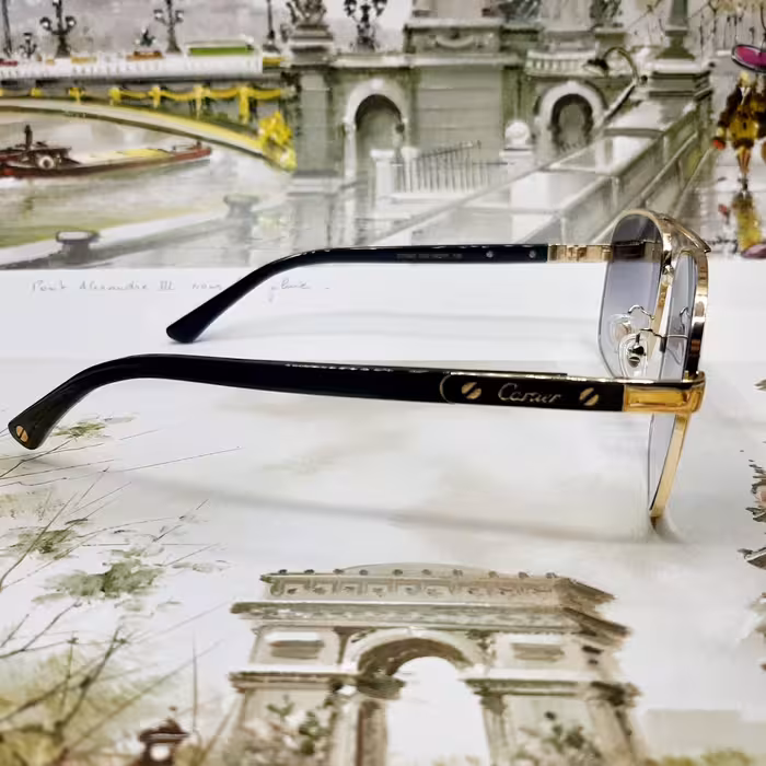 عینک آفتابی  مدل CT0697c02