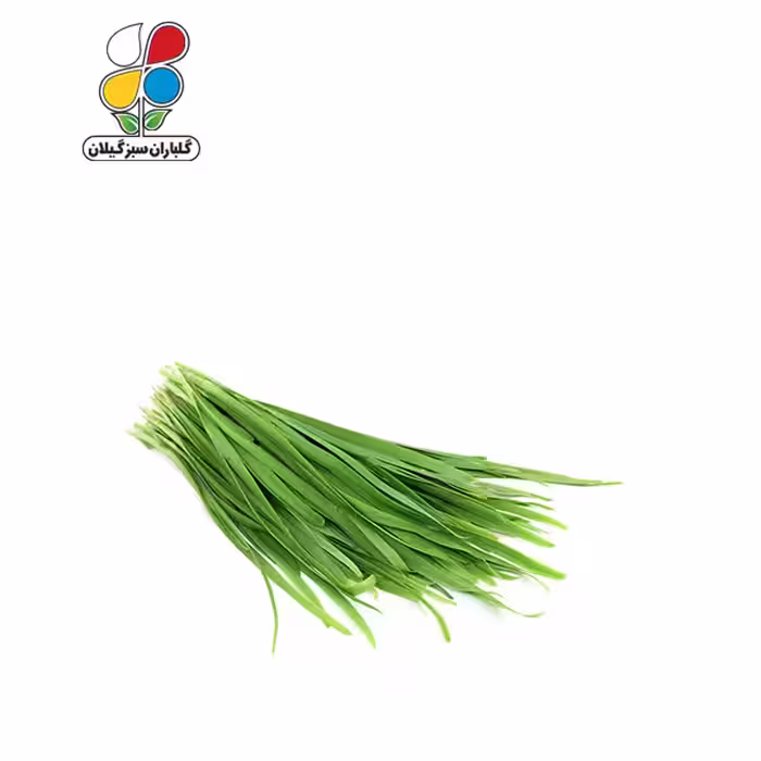 بذر تره بومی بسته بندی بزرگ